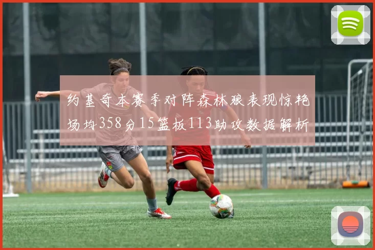 约基奇本赛季对阵森林狼表现惊艳场均358分15篮板113助攻数据解析